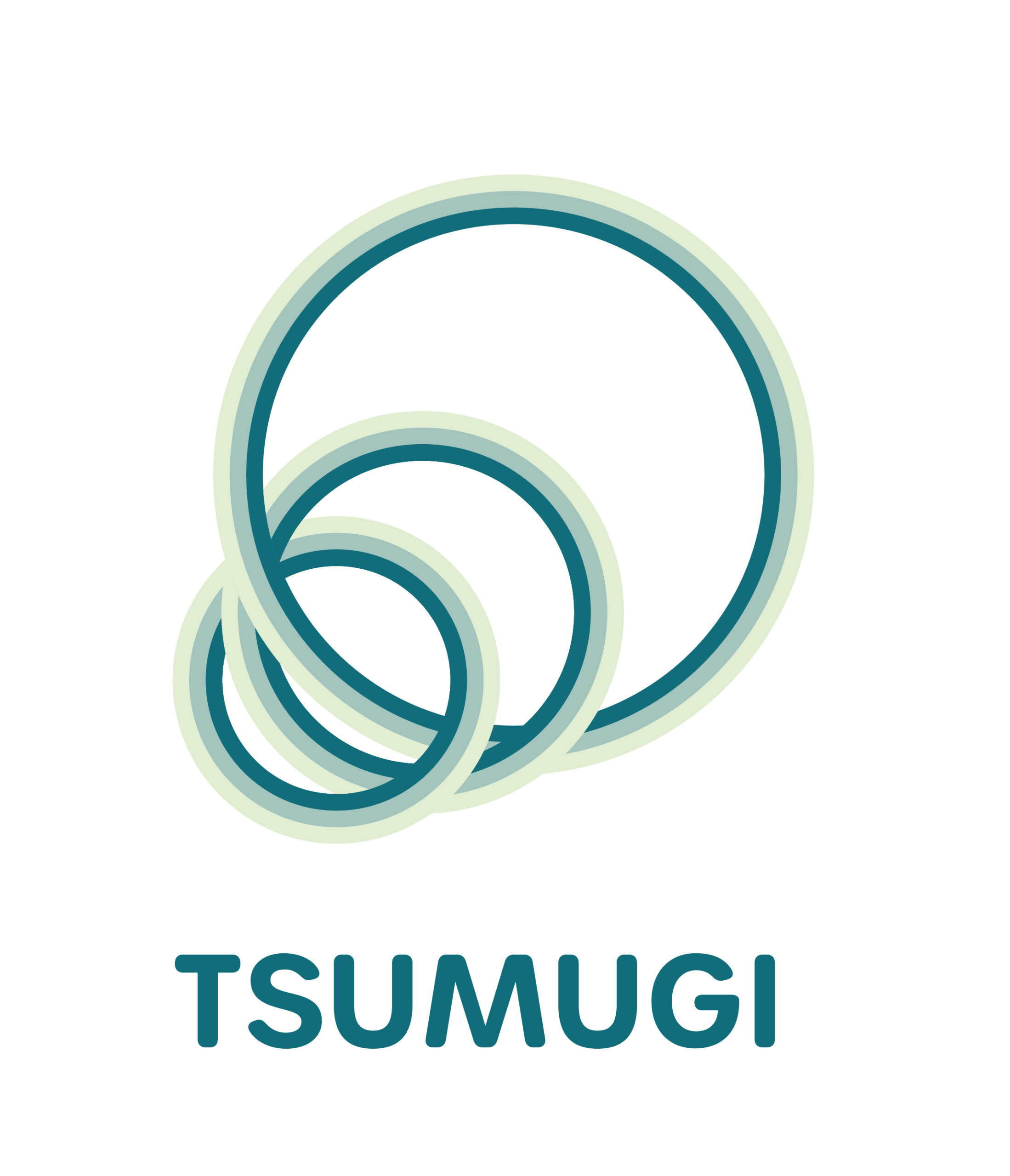 TSUMUGI LLC
