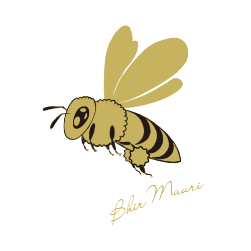 BirMauri-web-logo01