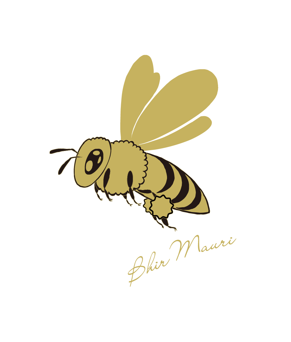 BirMauri-web-logo01